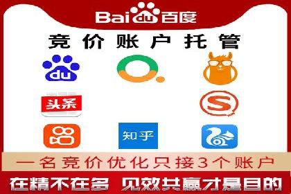 百度竞价排名案例分析：提升网站流量与转化率