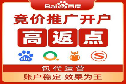 案例分析：SEM托管服务助力电商销量倍增